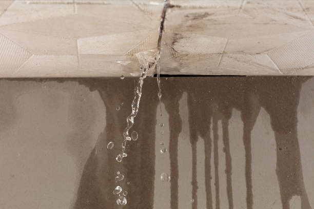Professional Water Damage Repair technician working in Eastland, TX